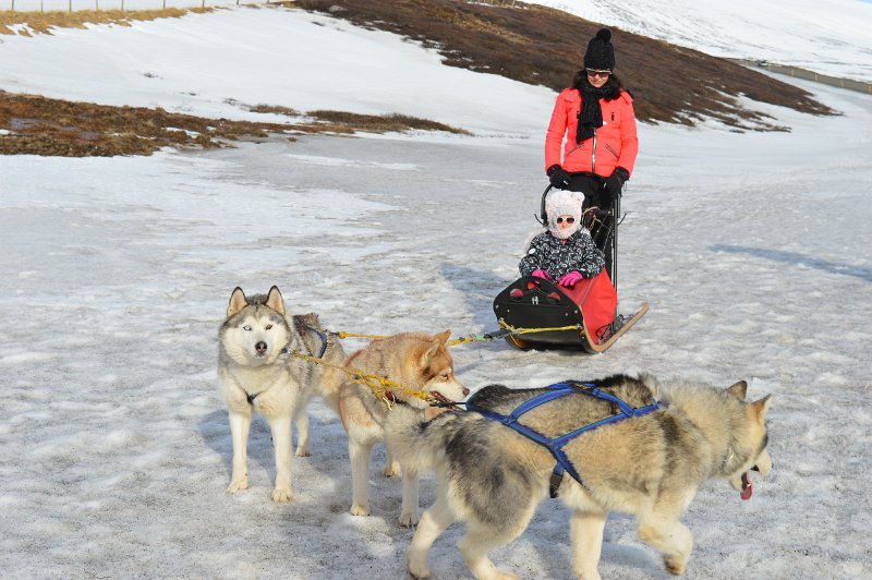 Dog sledding (14).JPG